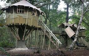 bewilderwood 1