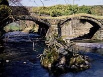 pont minllyn 1