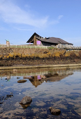 the scottish seabird centre 1